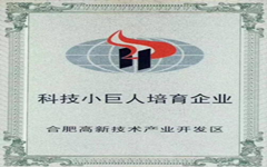 喜讯 爱游戏在线注册-官方网站入选合肥高新区“科技小巨人”培育企业