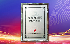 热烈祝贺爱游戏在线注册-官方网站荣获合肥高新区2018年度“瞪羚企业”荣誉称号