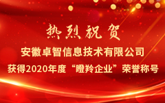 热烈祝贺安徽爱游戏在线注册-官方网站信息技术有限公司获得2020年度“瞪羚企业”荣誉称号