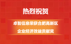热烈祝贺!爱游戏在线注册-官方网站信息荣获合肥高新区企业经济效益贡献奖
